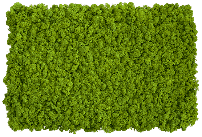 Reindeer Moss Flexgreen Panels (Set of 2)