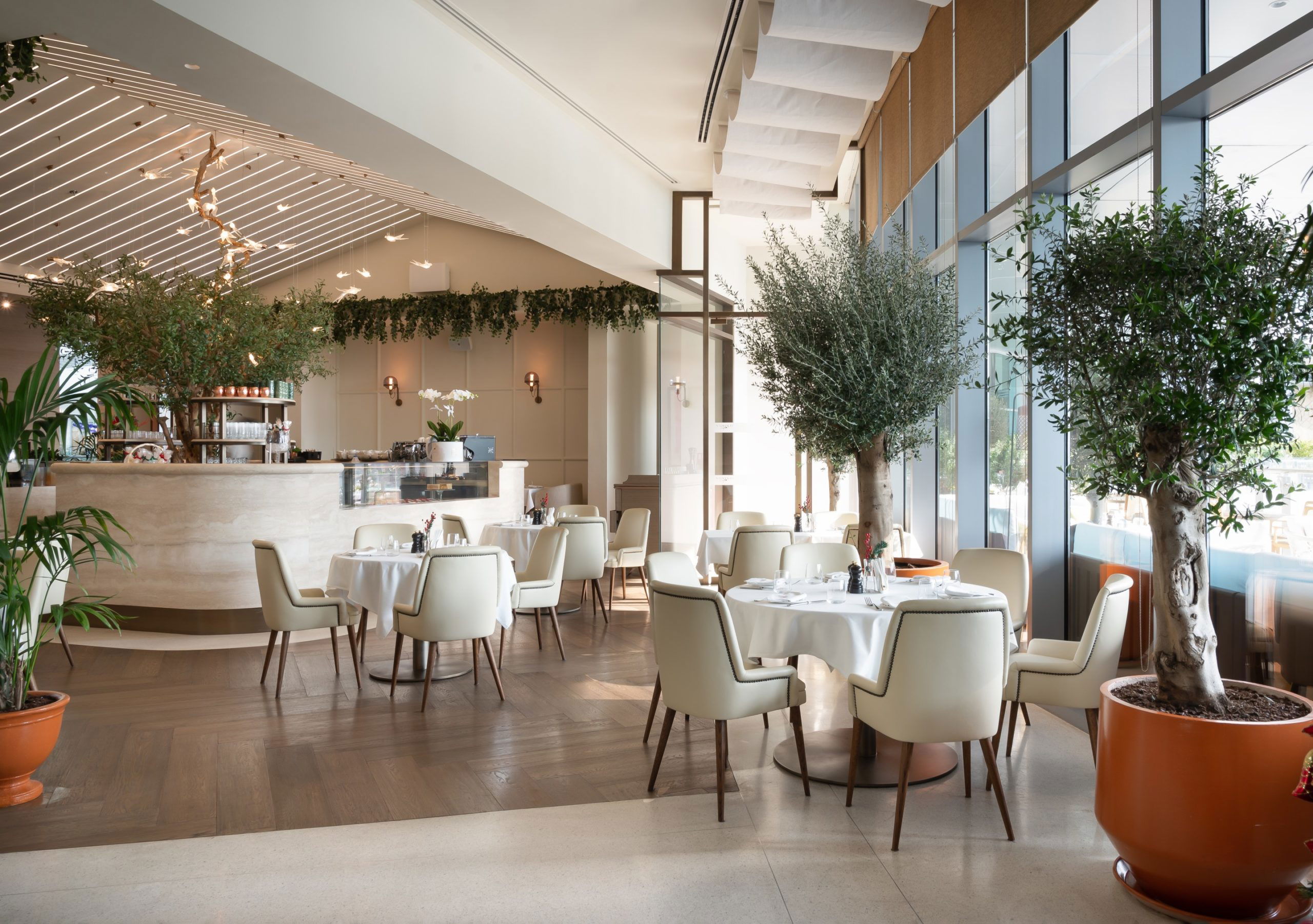 Novikov Caf Dubai Mall Coffee Shop Delicatessen Interior Design On 