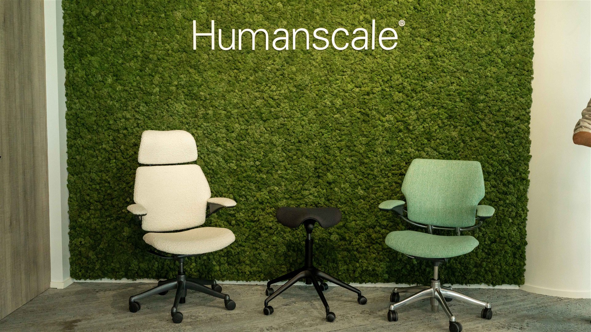 Humanscale best sale freedom occasion